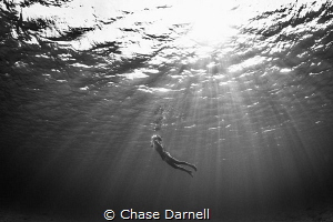 "See You Soon"
Though we must come up for air, we also k... by Chase Darnell 